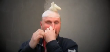 kohout
